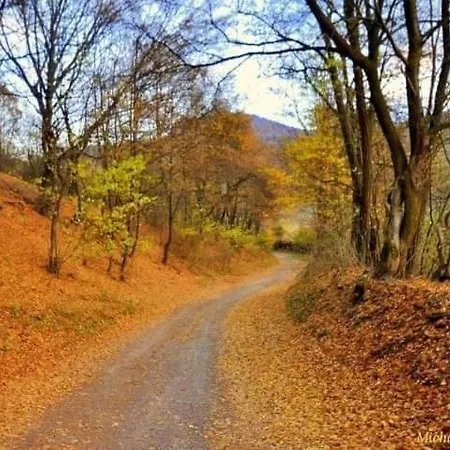 Hébergement de vacances Slnecna Vyhne