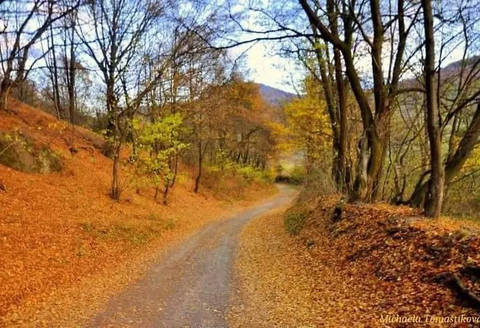 Tatil Evi Slnecna Vyhne